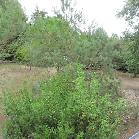 Maraval